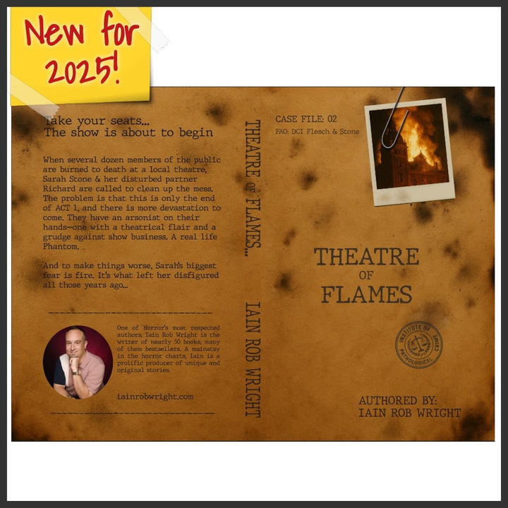 Theatre of Flames – Flesch &amp; Stone book 2 Paperback - Iain Rob Wright Store